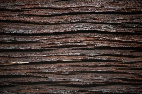 Textur Oberfläche Natur Holz Hintergrund — Stockfoto