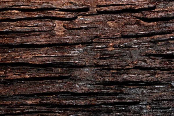 Textur Oberfläche Natur Holz Hintergrund — Stockfoto