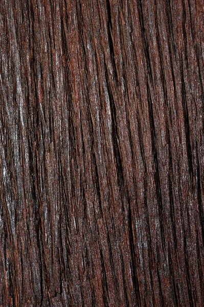 Texture superficie legno naturale sfondo — Foto Stock