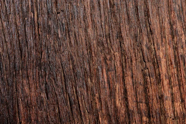 Textur Oberfläche Natur Holz Hintergrund — Stockfoto