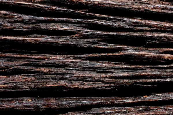 Textur Oberfläche Natur Holz Hintergrund — Stockfoto