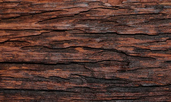 Texture superficie legno naturale sfondo — Foto Stock