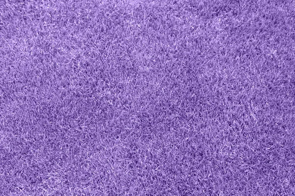 2022 'nin pantone trend renginde çim dokusu arka planı çok peri