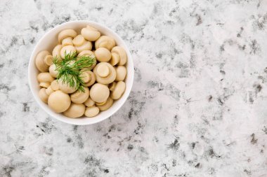 Mantar turşusu. Kasede şampiyonlar. Lezzetli mantarlar, şampiyon. Yiyecek korunumu.