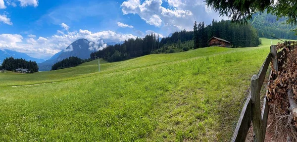 オーストリアの山の中の森と草原の間にある木製の柵です — ストック写真