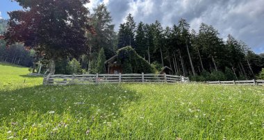 Avustralya 'daki Avustralya Alplerinde bir gölün yanındaki dağlarda bir kulübede.