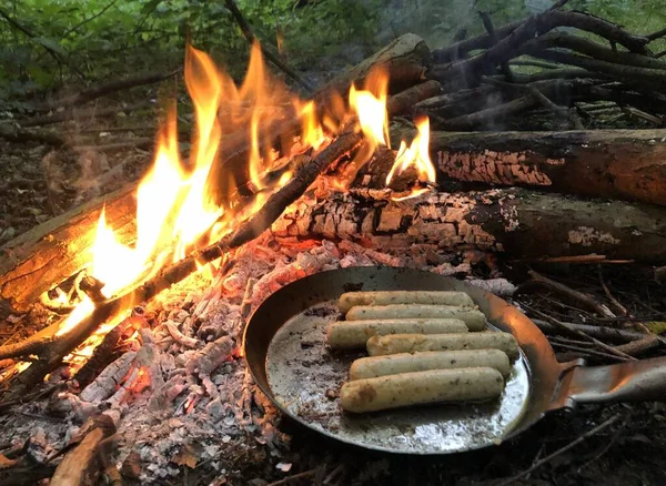 Amsterdam Ormanlarında Çalılıklarda Açık Ateşte Yemek Pişirmek — Stok fotoğraf