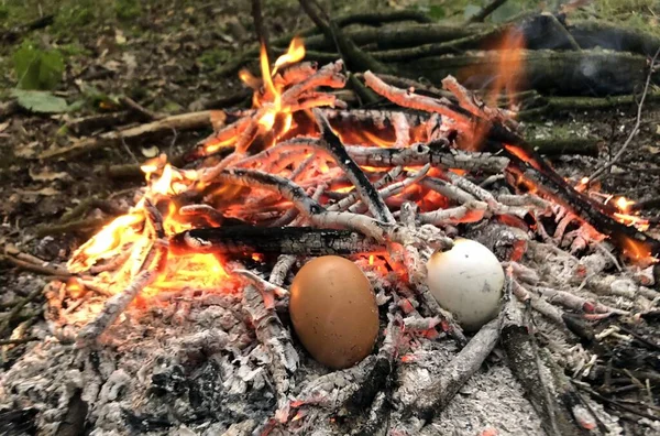 cooking on an open fire during bushcraft in the woods