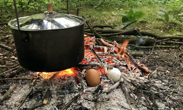 Ormanda çalı çırpı yaparken açık ateşte yemek pişirmek — Stok fotoğraf