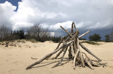 Hollanda 'da kışın kum ve ağaçlarla dolu olan Hollanda doğası