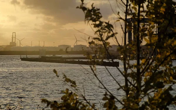 Industria holandesa detrás de la naturaleza en la puesta del sol en Amsterdam — Foto de Stock