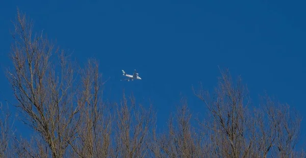 Две птицы летят над рекой на фоне голубого неба — стоковое фото