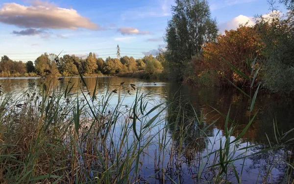 Indústria Holandesa Por Trás Natureza Pôr Sol Amsterdam Nas Terras — Fotografia de Stock