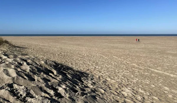 Mensen Ver Weg Het Strand Nederlanden — Stockfoto