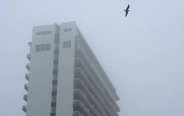 Apartamentos Porto Mar Por Sol Nas Terras Baixas — Fotografia de Stock