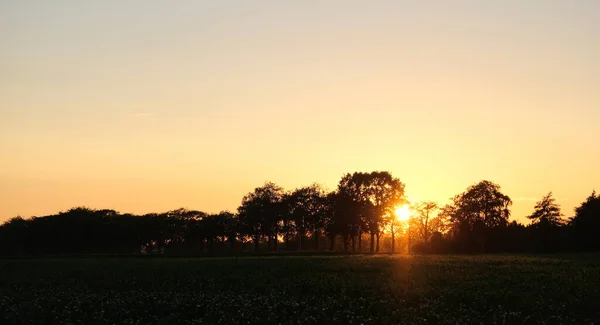 灌溉农田夕阳西下热气球水树腹地 — 图库照片