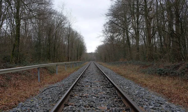 Järnvägsspår Skogen Hösten Tyskland — Stockfoto