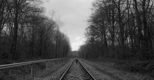 Binario ferroviario nel bosco in autunno — Foto Stock