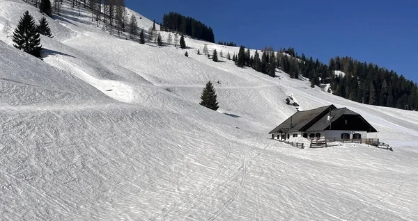 Hochkonig Avustralya 'da güneşli mavi gökyüzünün altında ağaçlar arasında kayak yamaçları olan karlı dağlar.