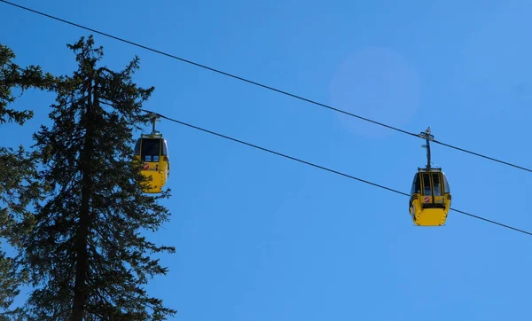 우스트라 스포츠 경사면 나무들이 내려져 노란색 샤워기 — 스톡 사진