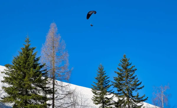 Parapentování Vysoko Nad Zasněženými Horami Rakousku Zimě — Stock fotografie