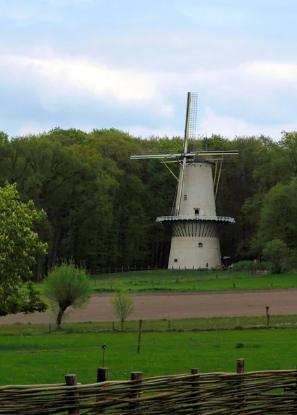Typical dutch mill in the countryside of the netherlands —  Fotos de Stock