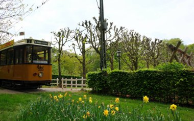 Hollanda 'nın Amsterdam yakınlarındaki kırsal bir bölgede eski bir Hollanda tramvayı.