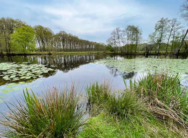 Hollanda manzarası baharda bulutlu bir günde