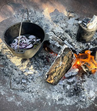 Amsterdam 'da bir tabakta doğadan yiyecek topluyorum.