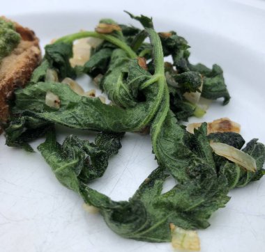 Amsterdam 'da bir tabakta doğadan yiyecek topluyorum.