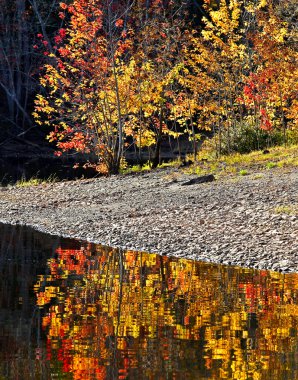 Autumn Colors Water Reflection clipart
