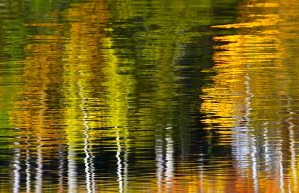 Árvores abstratas Reflexão da água — Fotografia de Stock