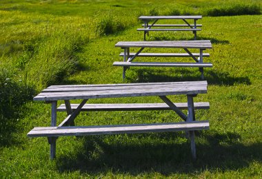 Üç piknik ahşap masaları çimen