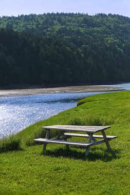 ahşap piknik masa mavi creek orman