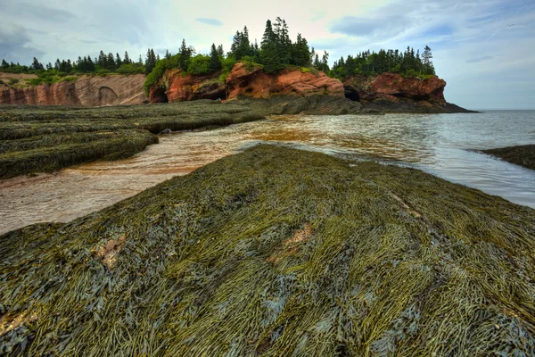 HDR St Martins Cuevas Algas marinas — Foto de Stock