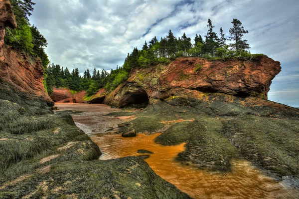 HDR st martins grotten zeewier vorming — Stockfoto