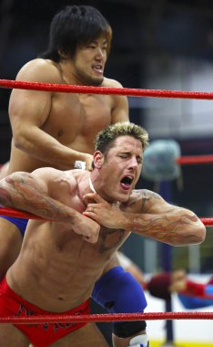 holding mücadele güreş erkekler ağrı