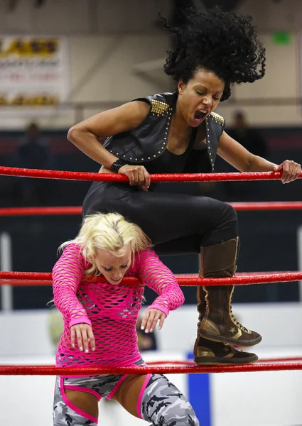 Wrestlers female women action ring — Stock Photo, Image