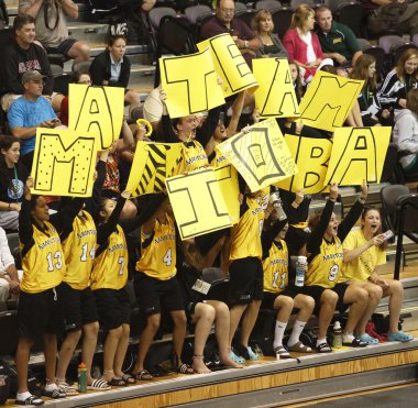 Basketbol manitoba seyirci işaretleri