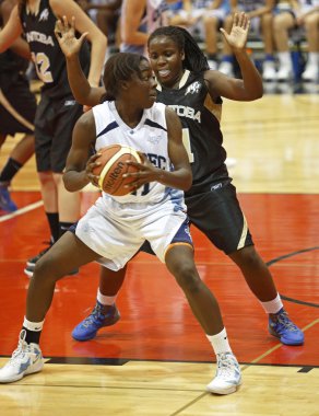 quebec topu basketbolcu