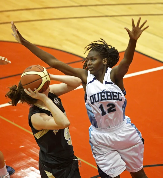 Baloncesto Quebec Defender —  Fotos de Stock