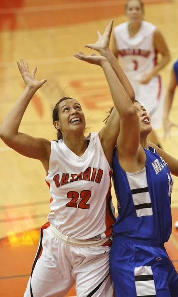 Basketbal ontario nova scotia rebound — Stockfoto