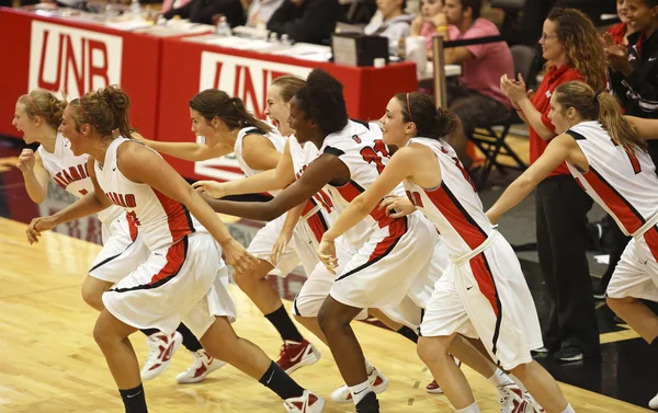 Basketbol ontario oyuncular kutlama Telifsiz Stok Imajlar