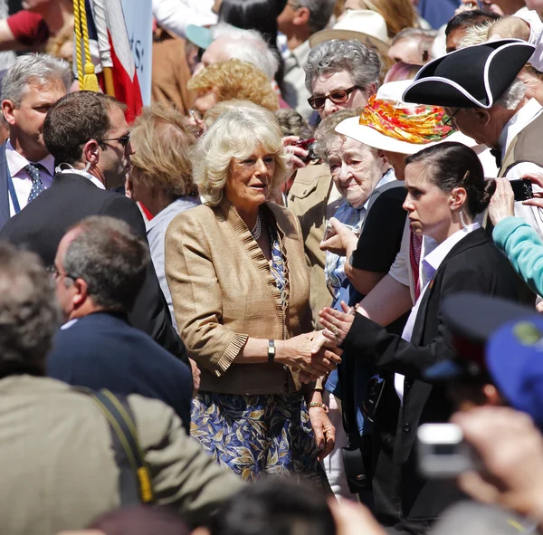 Camilla Walkabout Saint John — Stock Image Camilla Walkabout Saint John Royalty Free Stock Photos