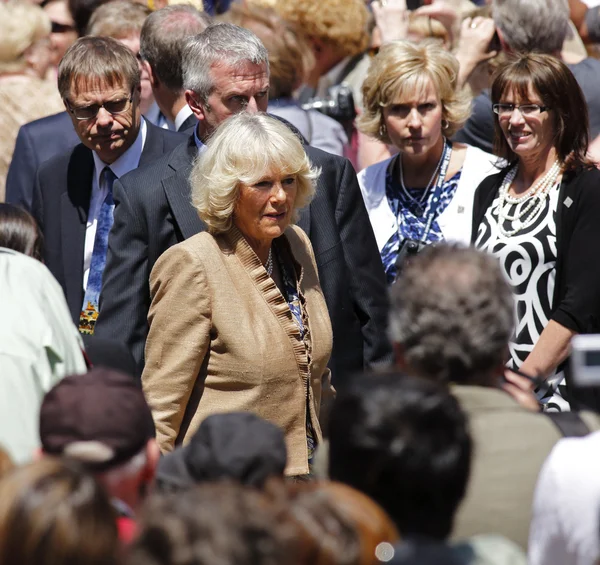 Camilla Saint John Walkabout — Stock Image Camilla Saint John Walkabout Stock Image