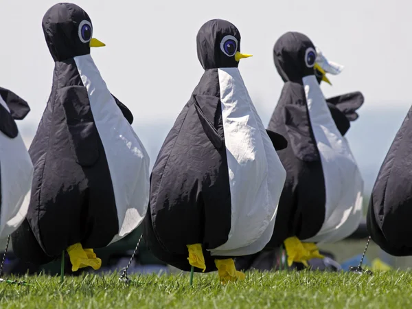 Pingüinos voladores de cometas — Foto de Stock