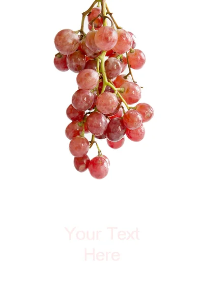 Grapes on white — Stock Photo, Image