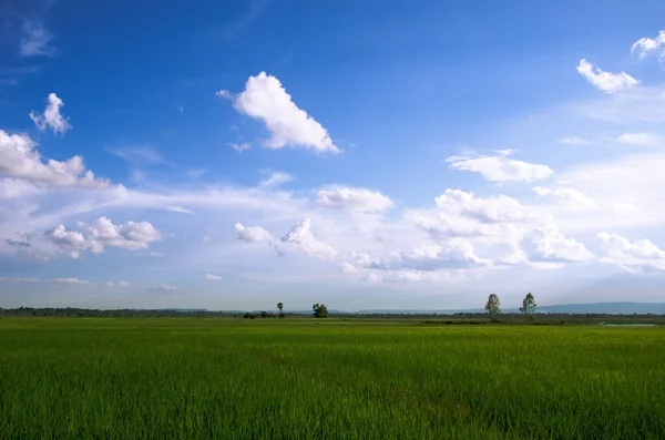 Stock image Sunny day