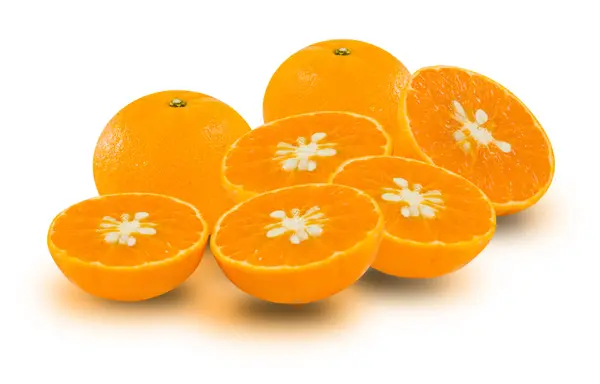 Früchte Orangen — Stockfoto