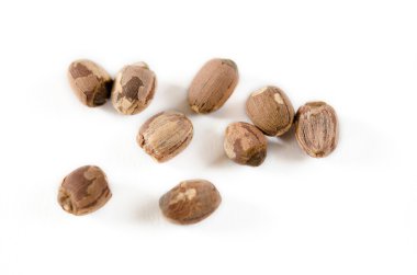 Beyaz nilüfer tohumları